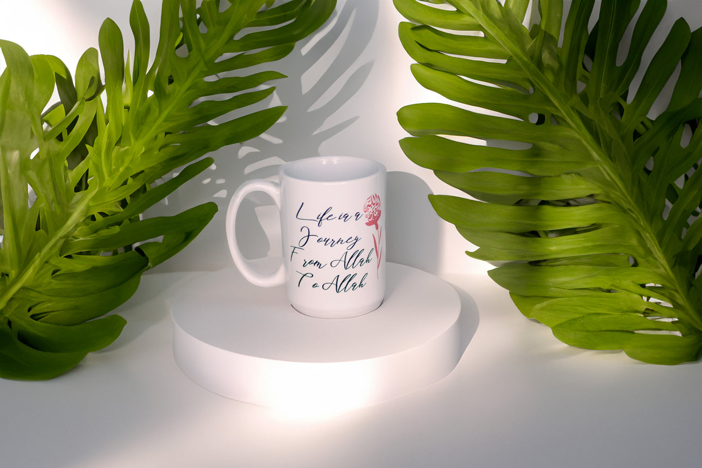 Life is a journey from Allah to Allah