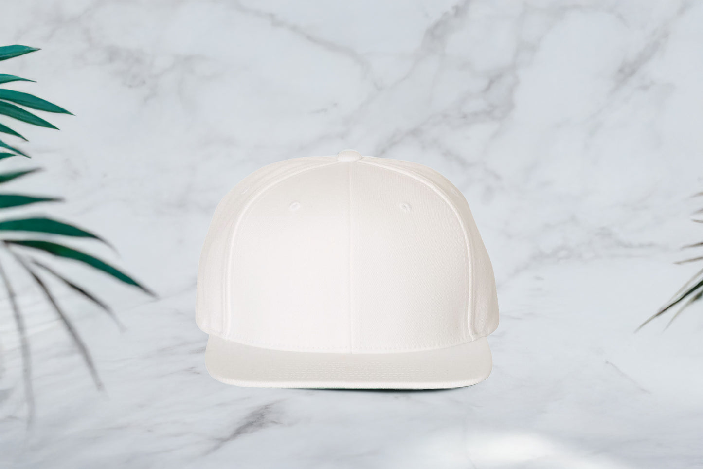 Cap -Flat Visor