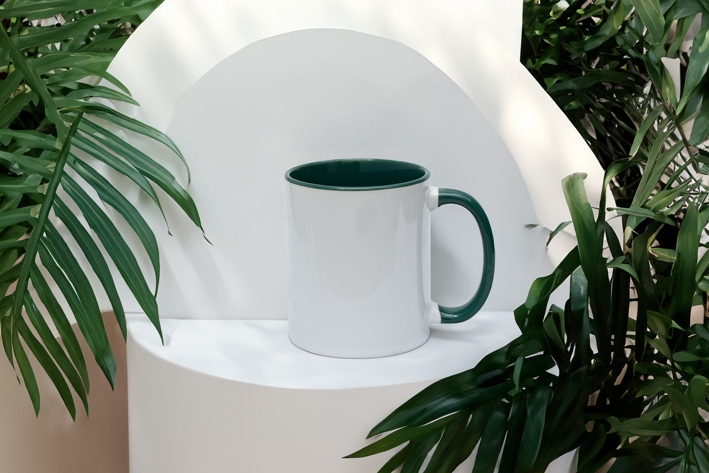 Custom 110z Color Mug