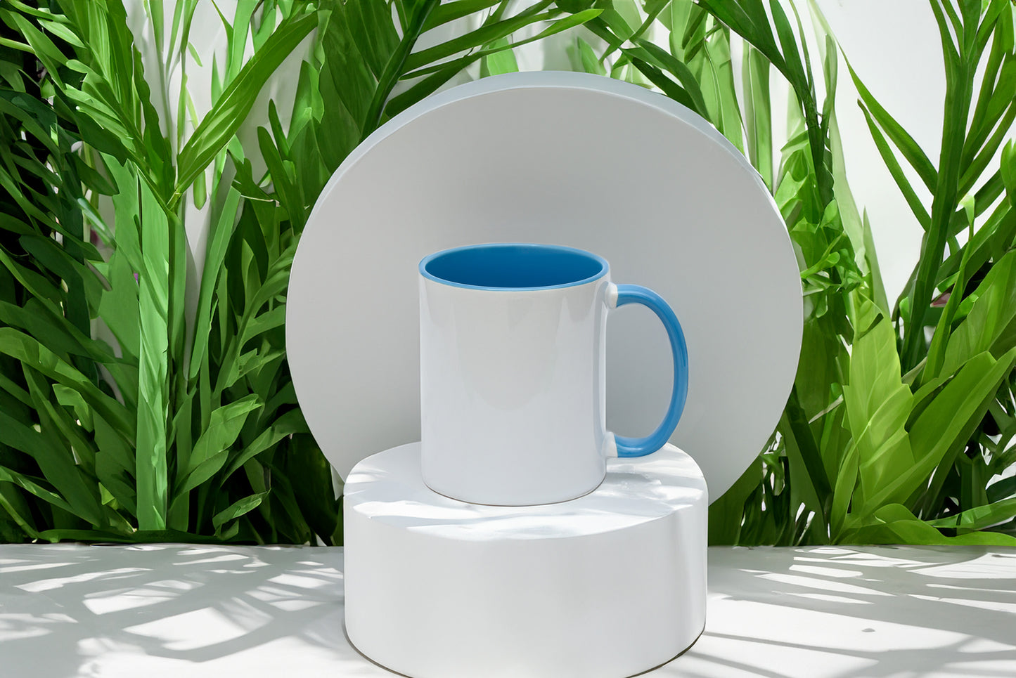 Custom 110z Color Mug