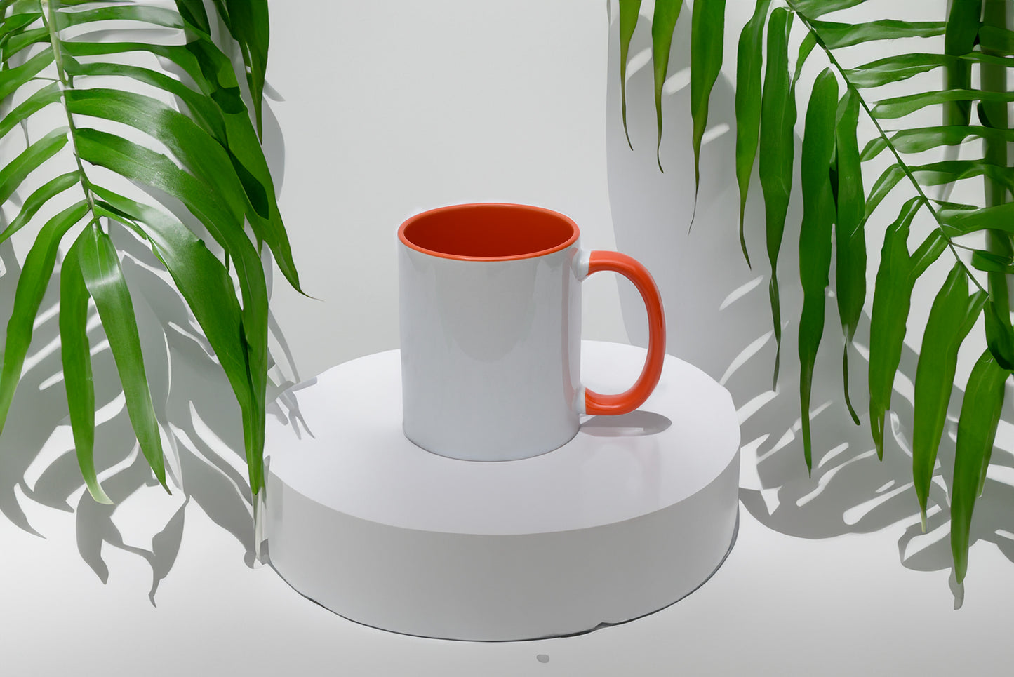 Custom 110z Color Mug