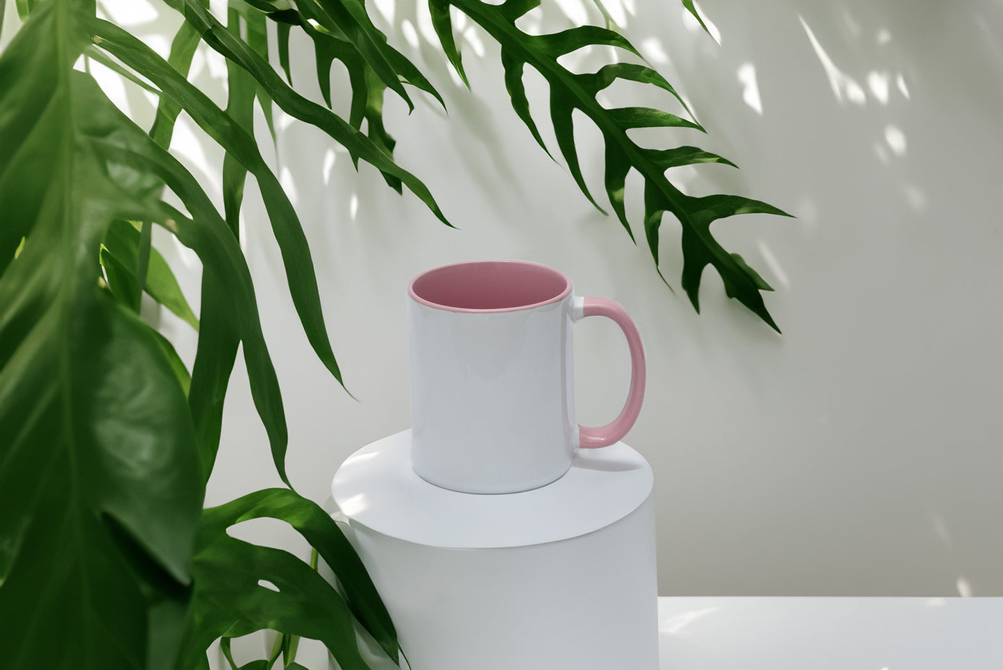 Custom 110z Color Mug