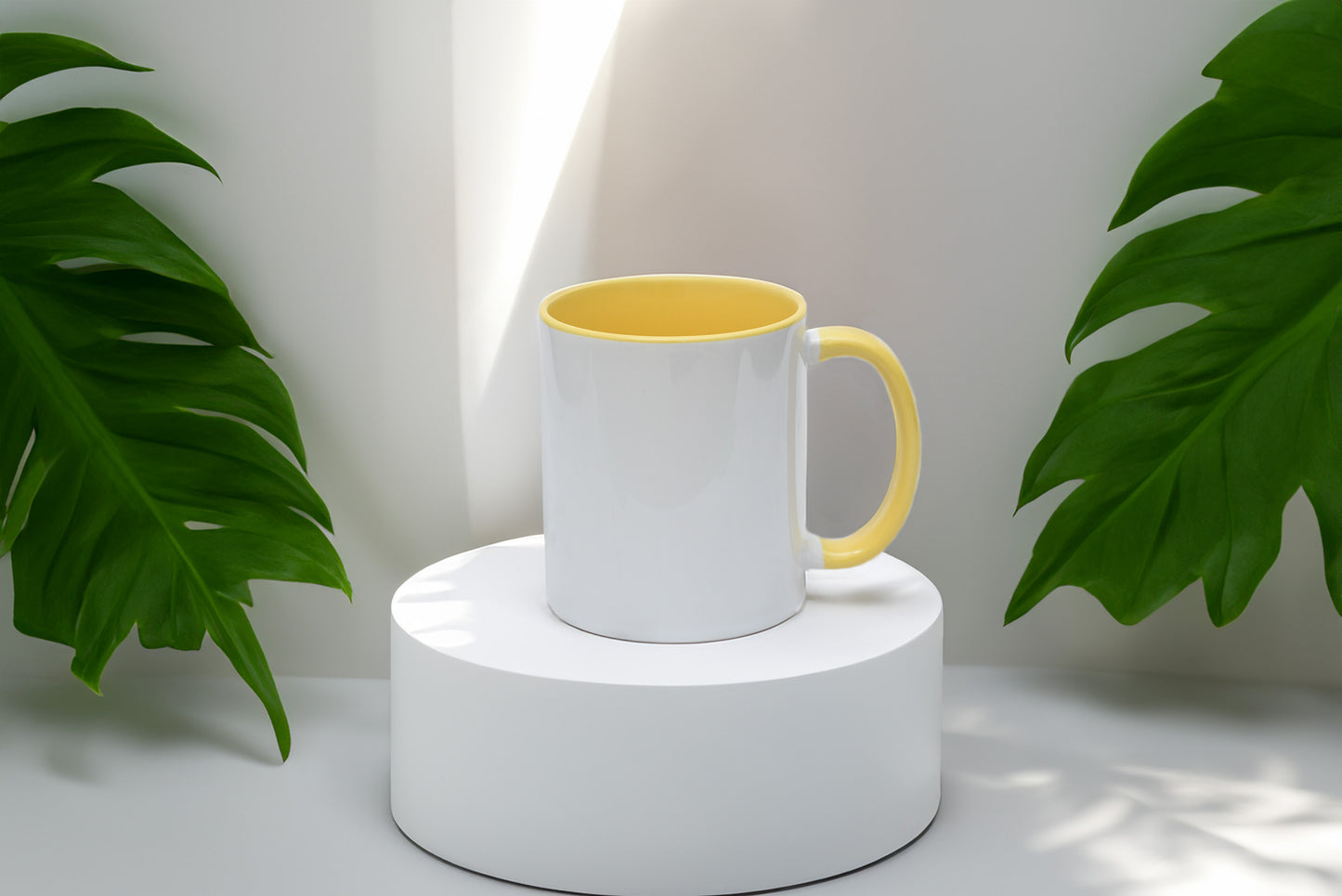 Custom 110z Color Mug